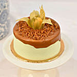 Mesmerizing Orchid Plants in Designer Base with Cake