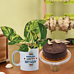 Money Plant In Happy Birthday Mug with Cake
