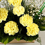 Brighter Than Sunshine Carnations Arrangement