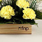 Brighter Than Sunshine Carnations Arrangement