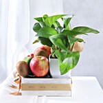 Prosperous Fruits and Money Plant