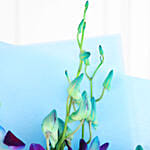 1Bro Orchid Tribute