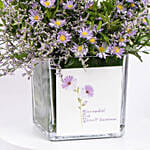 September Birthday Wishes Aster Flowers