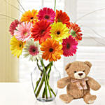 Blooming 12 Mixed Gerberas Vase Teddy Bear