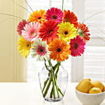 Blooming 12 Mixed Gerberas Vase Teddy Bear