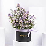 Birthday Aster Flowers in a box