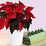 Poinsettia Plant In Wooden Vase with Coffee Chocolate log cake