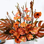 Shades of Orange