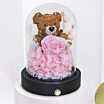 Forever Rose N teddy Dome with Cake