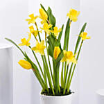 Daffodils and Tulip Flower Pot