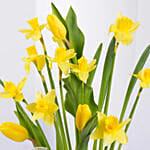 Daffodils and Tulip Flower Pot
