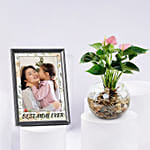 Personalised Photo Frame with Anthurium Plant for Mom
