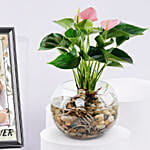 Personalised Photo Frame with Anthurium Plant for Mom