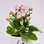 Mothers Day Personalised Plant Pot and Guess Body Mist Bundle