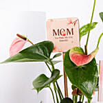 Mothers Day Healthy Wishes hamper