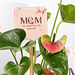 Mothers Day Healthy Wishes hamper