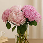 Light Pink Peonies