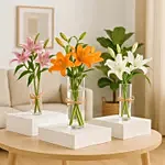 Lilies Beauty Trio