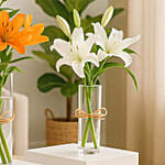 Lilies Beauty Trio