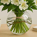 White Peruvian lily Arrangement