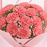 Mothers Love Pink Carnations Bouquet