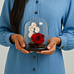 Beautiful Red Forever Rose In Glass Dome