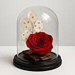 Beautiful Red Forever Rose In Glass Dome
