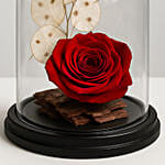 Beautiful Red Forever Rose In Glass Dome