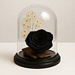 Forever Rose In Glass Dome- Black