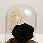 Forever Rose In Glass Dome- Black