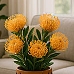Pin Cushion Flowers Vase