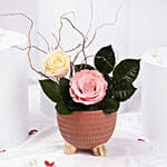 Roses in Premium Vase