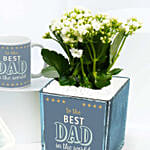 Best Dad Plant Mug N Cake Combo