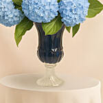Hydrangea Grandeur