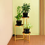 Welcome Good Luck To Home Plant Stand