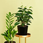 Welcome Good Luck To Home Plant Stand