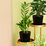 Welcome Good Luck To Home Plant Stand
