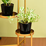 Welcome Good Luck To Home Plant Stand