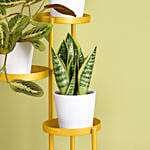 Luck and Peace Plant Stand