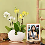 Mini Orchids with Photo Frame