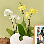 Mini Orchids with Photo Frame