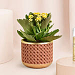 Kalanchoe Plant and Guess Girl Mist For Sister