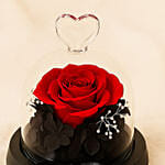 Valentines Day Forever Red Rose in Glass Dome