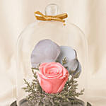 Beautiful Forever Rose In Glass Dome- Pink