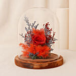 Forever Red Rose In Glass Dome