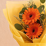 Cherry Red Gerbera Bouquet