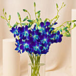 Mesmerizing Blue Orchids
