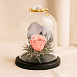 Pink Forever Rose In Glass Dome