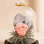 Pink Forever Rose In Glass Dome
