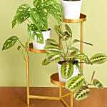 Reduce Noise And Air Pollution Plant Stand